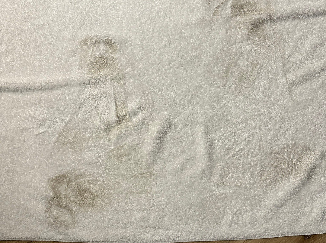 La Quinta Inn & Suites by Wyndham Springdale主图