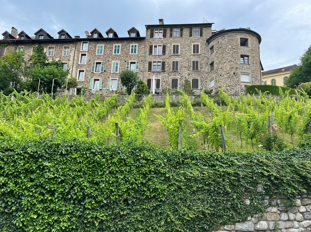 Oberstadt Bregenz-布雷根兹必去景点