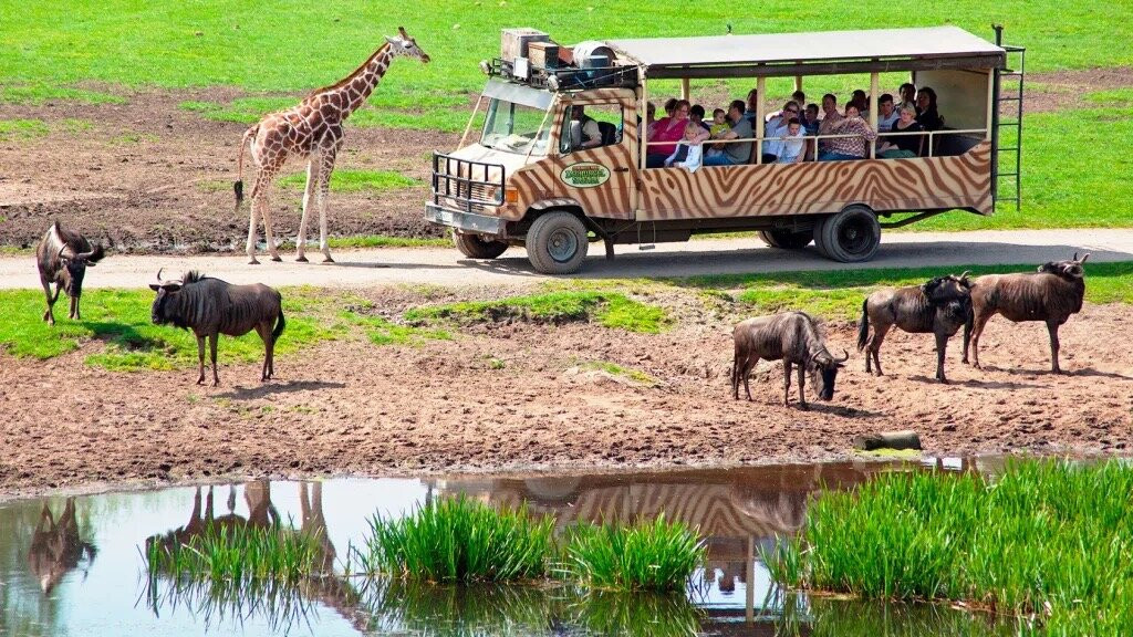 Serengeti-park Hodenhagen-Hodenhagen必去景点