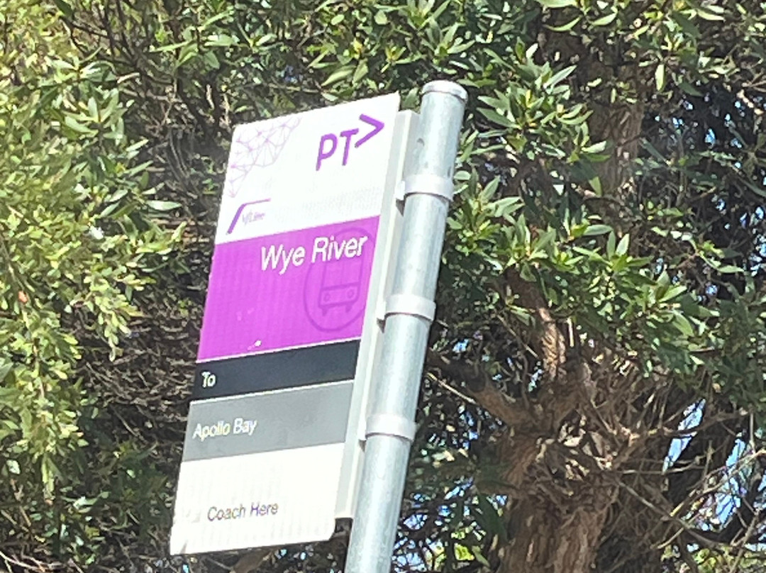 Cumberland River-洛恩必去景点