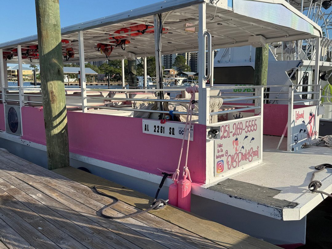 Dolphin Tales-橙色海湾必去景点