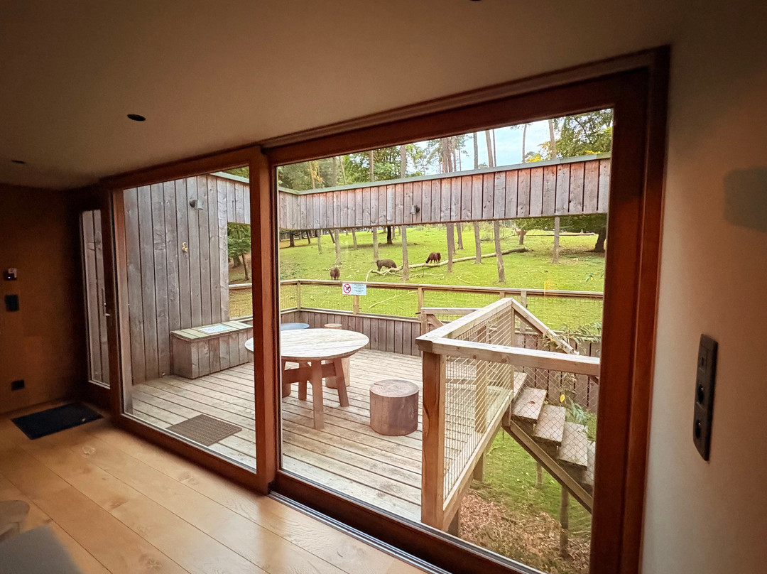 Wood Hôtel & Lodges by Forestia