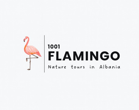 1001 Flamingo - Nature tours in Albania