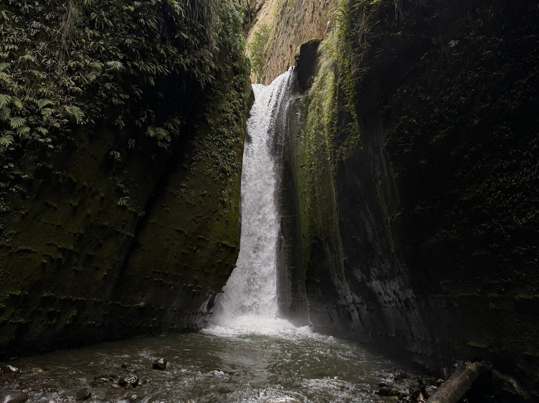 Tarata Fishaway主图