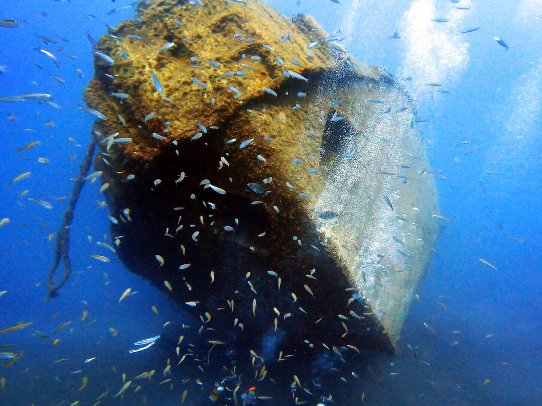 Tenerife Into The Blue - Dive In The Adventure
