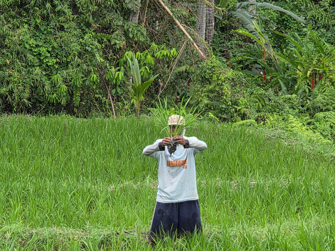 Plantage de Grote Tuin-Kalibaru必去景点