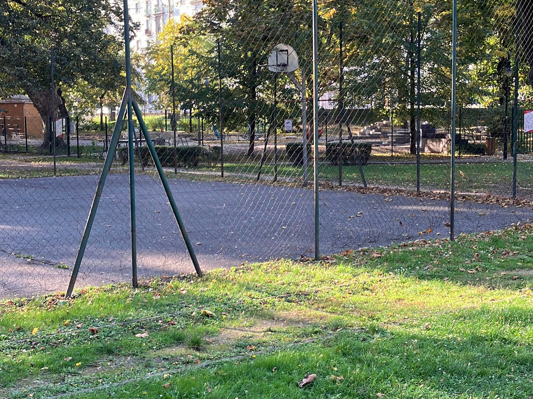 Bisinger József park-焦尔必去景点