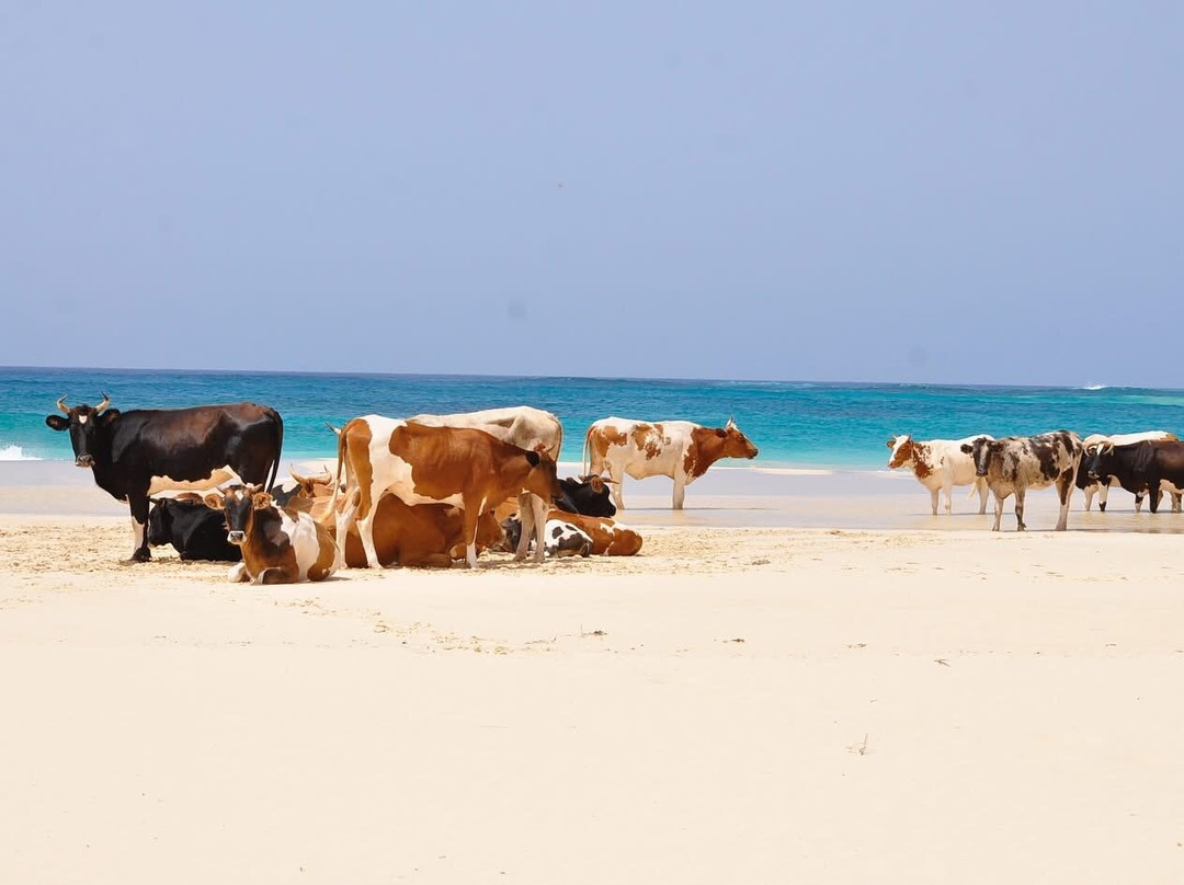 Fefetours-萨尔雷必去景点