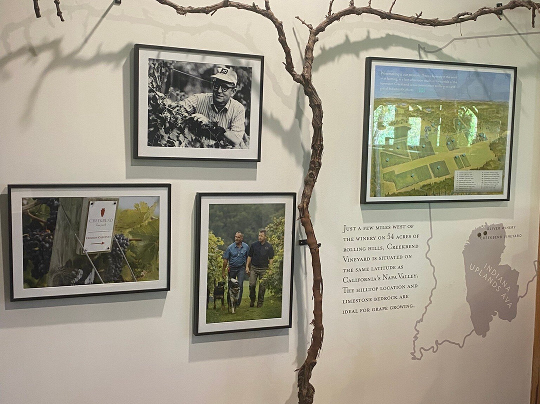 Oliver Winery-布卢明顿必去景点