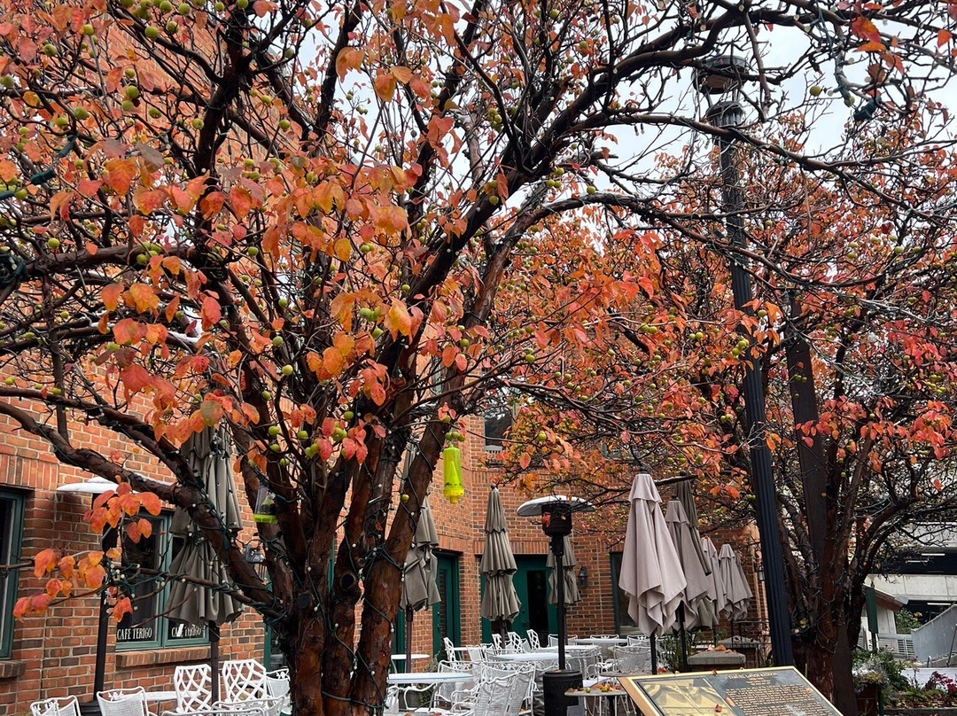 Park City Visitor Information Center-帕克城必去景点