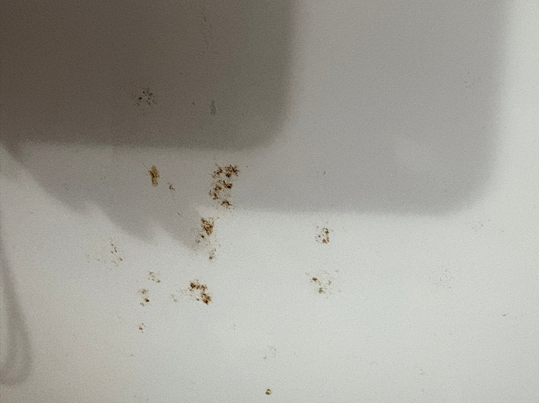 Vicentina Rooms by Isa主图