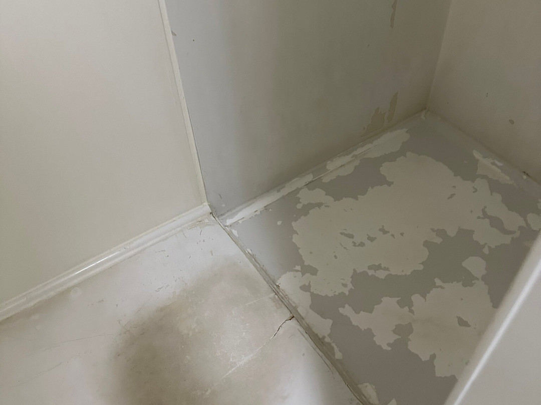 拉法叶市中心假日酒店主图