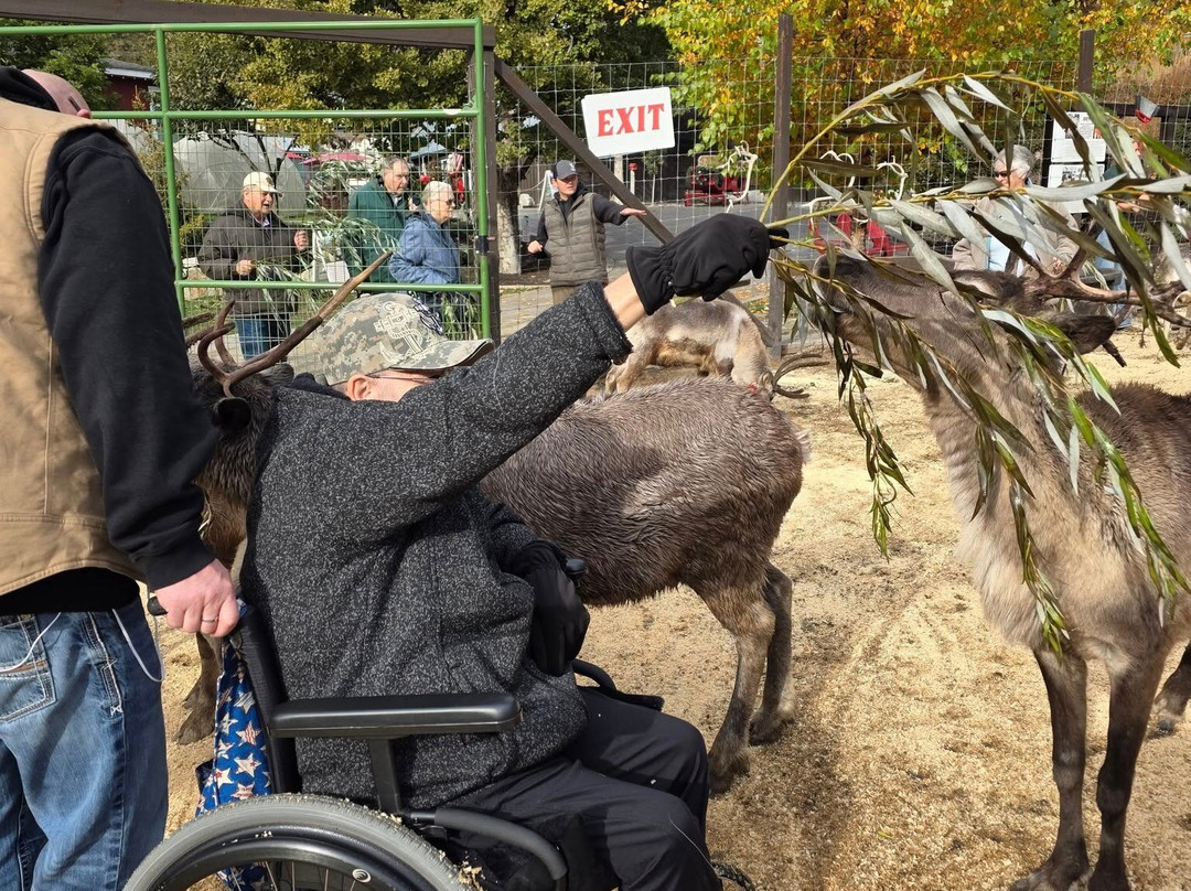 Leavenworth Reindeer Farm-莱文沃思必去景点