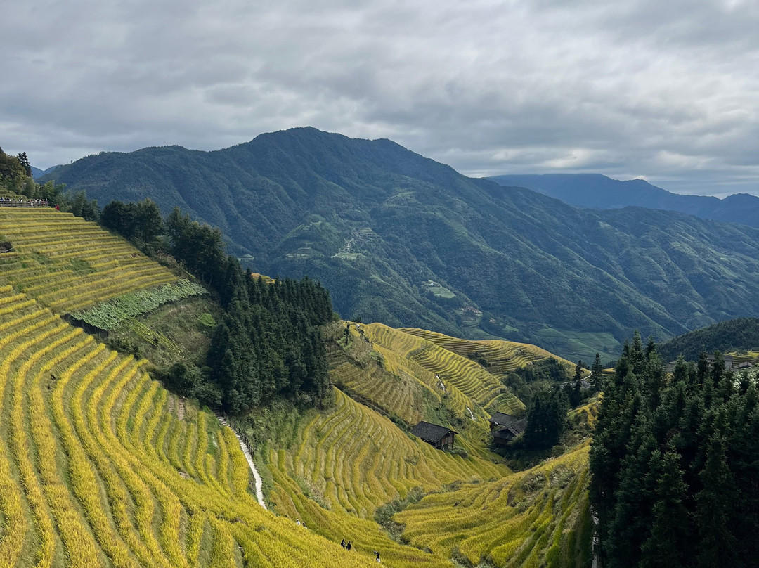 阳朔旅游-智旅行社-阳朔县必去景点