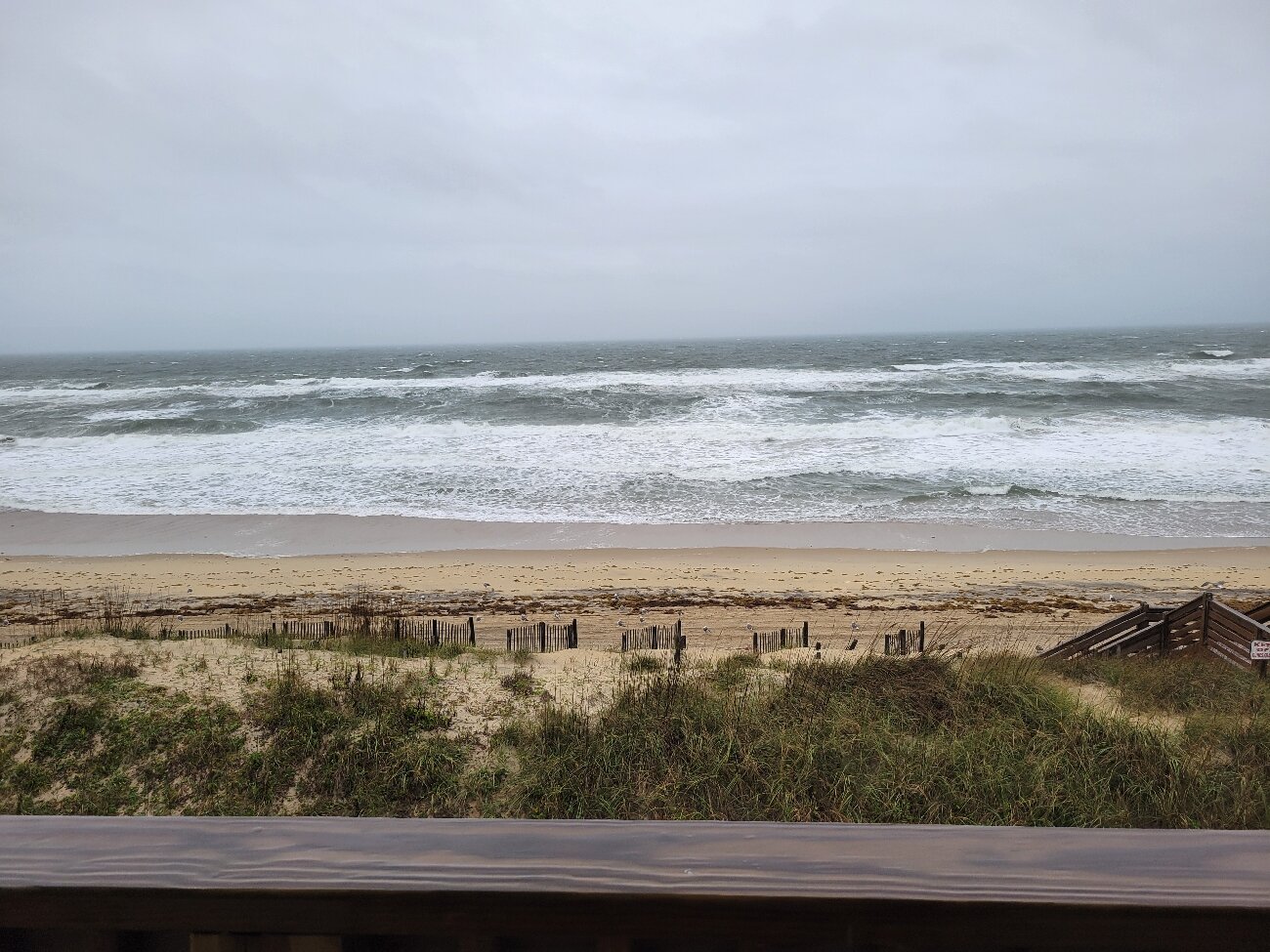 The Golden Strand-官方