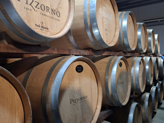 Senderos del Tannat-蒙得维的亚必去景点