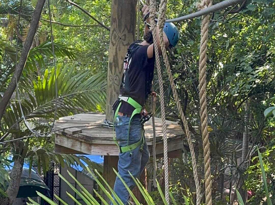 Treetop Trekking Miami-迈阿密必去景点