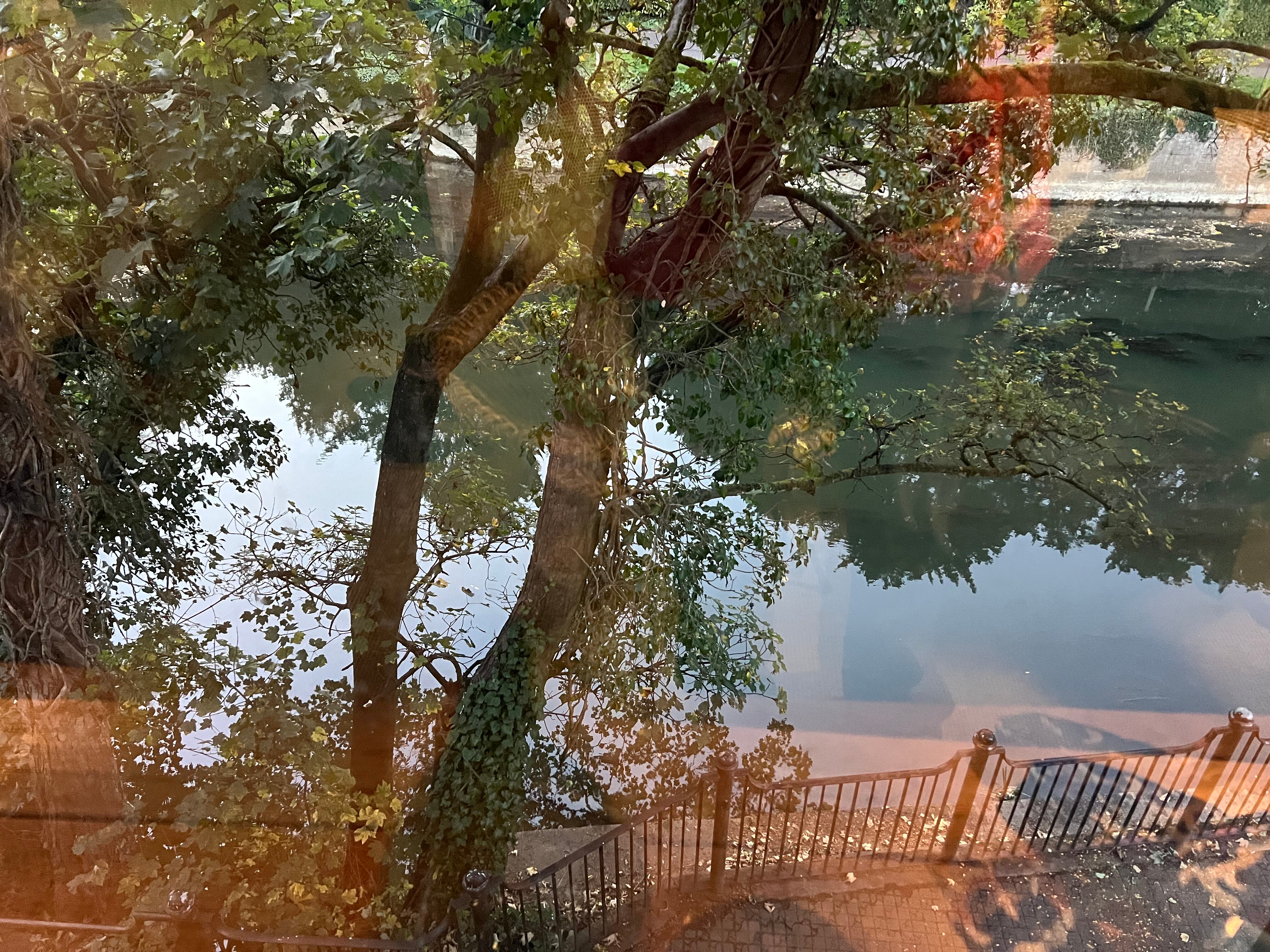 Timbrell's Yard-客卧