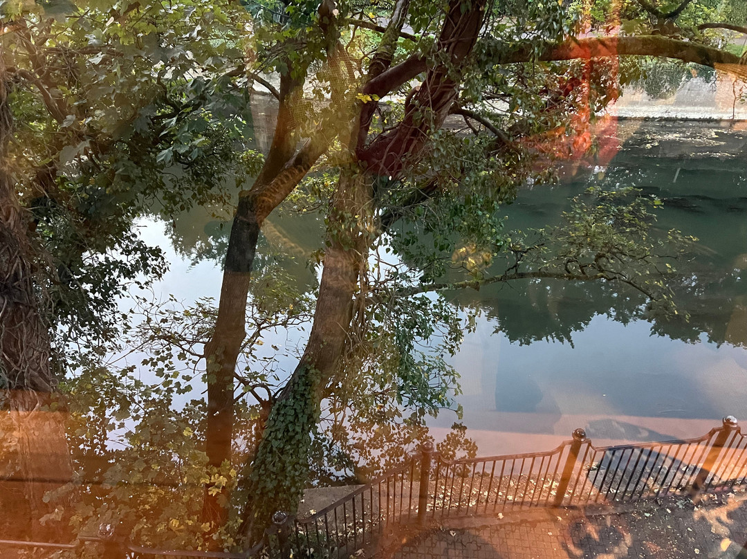 Timbrell's Yard主图