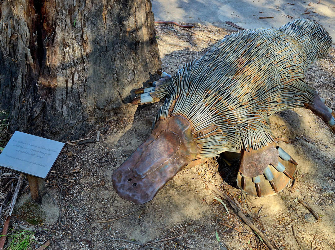 Tidbinbilla Nature Reserve-堪培拉必去景点