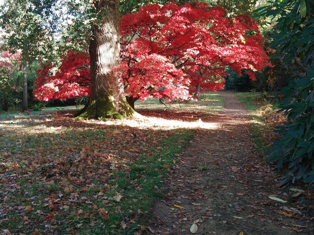 Ramster Gardens-Chiddingfold必去景点