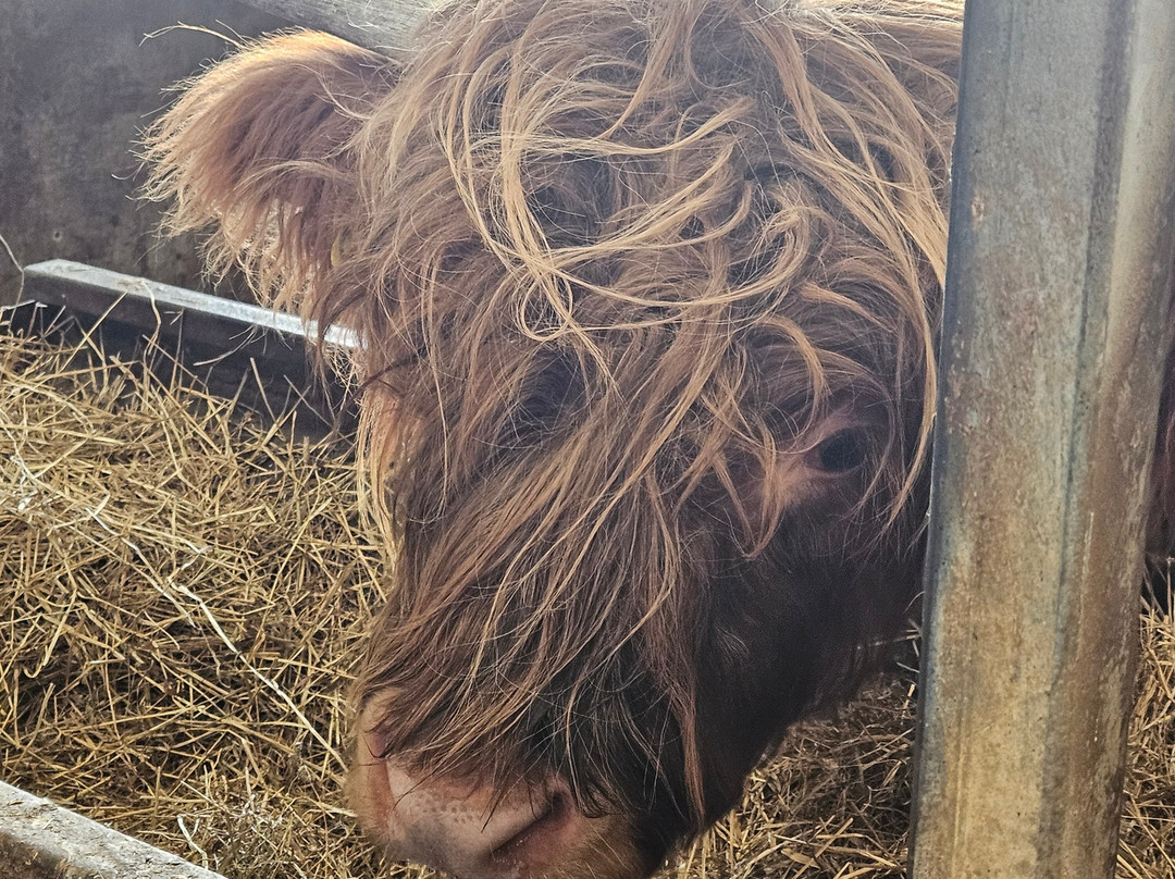 Newton Farm Holidays & Tours主图