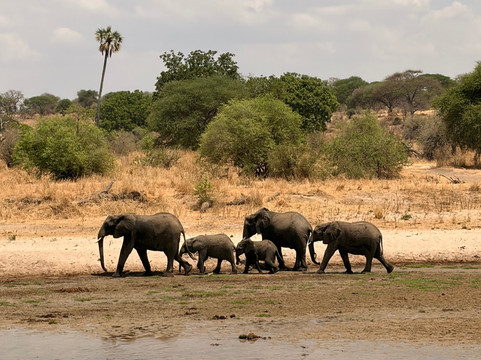 Maisha Adventures-阿鲁沙必去景点