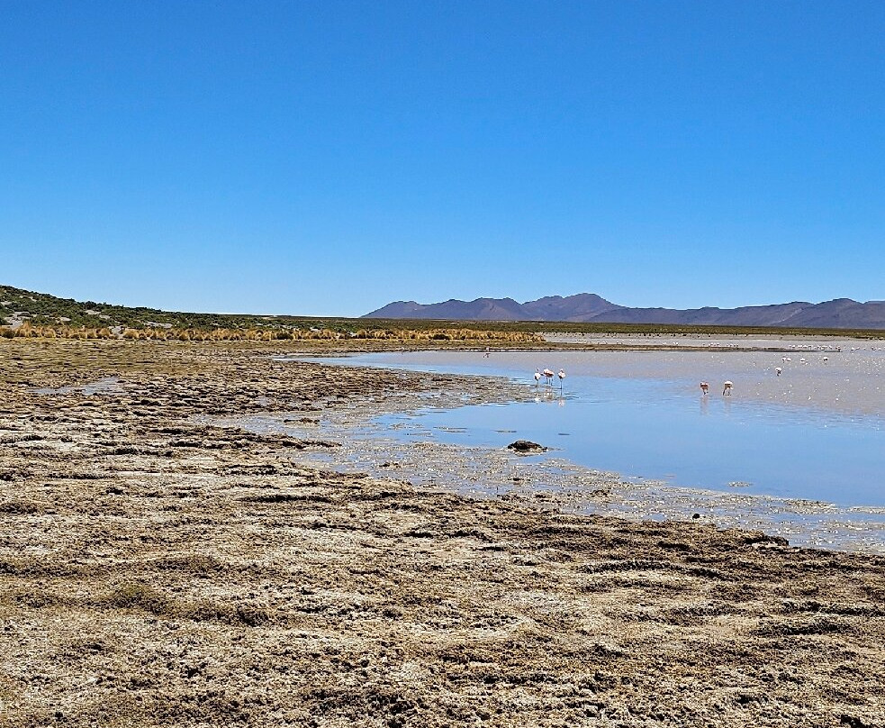 World White Travel-圣佩德罗-德阿塔卡马必去景点