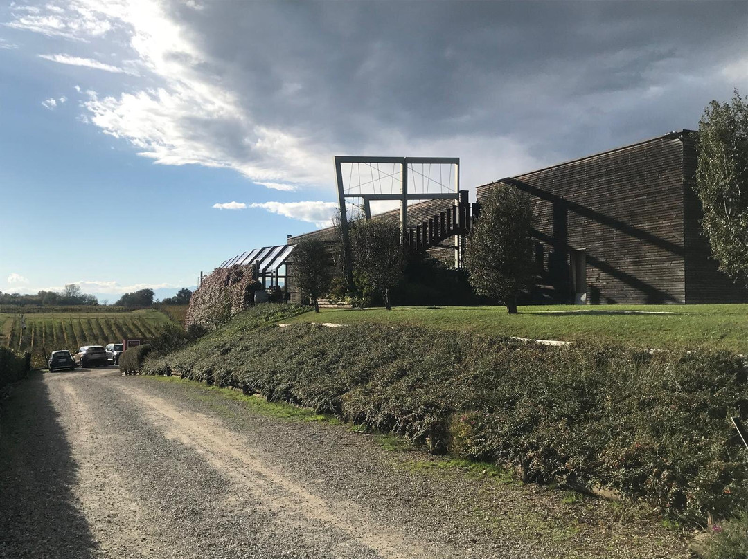 Azienda Vitivinicola e Agriturismo Enrico Crola-Mezzomerico必去景点