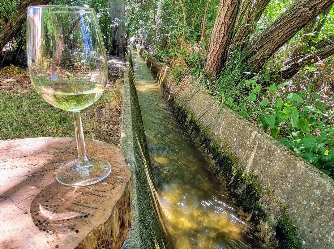 Molino Galochas主图