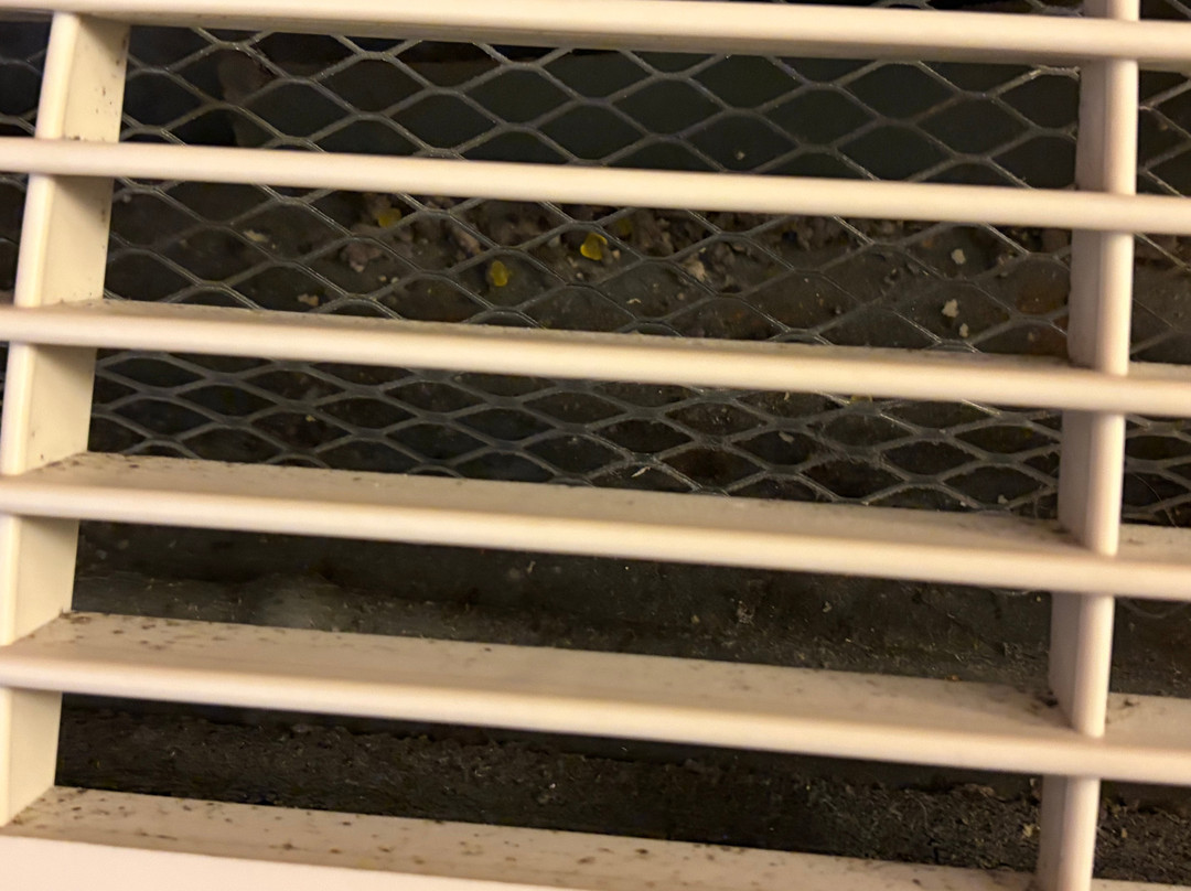 Hampton Inn & Suites Woodstock主图