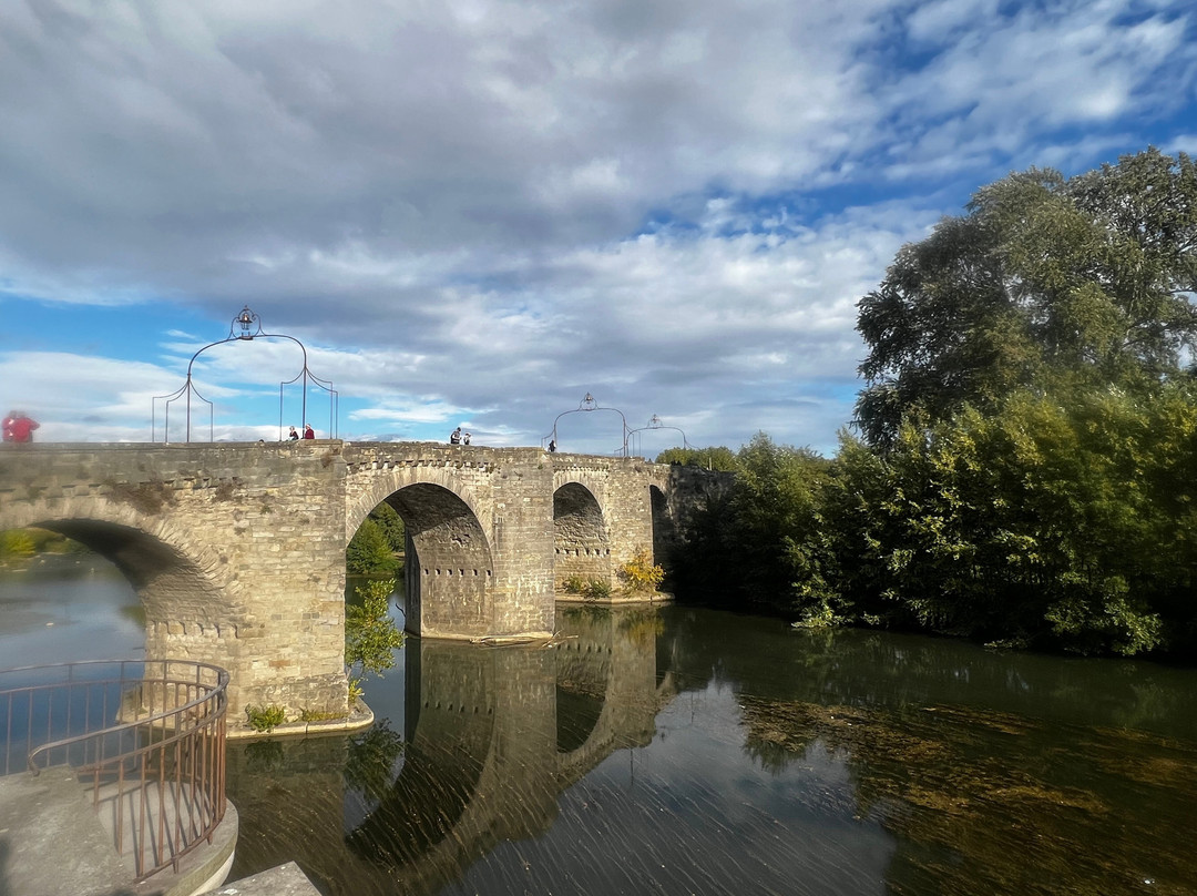 Le Pont Vieux (The Old Bridge)-卡尔卡松必去景点