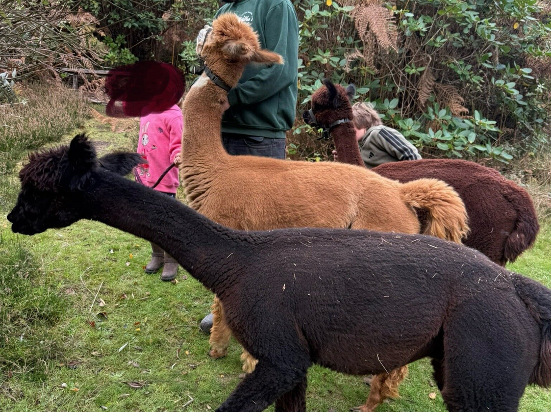 Reuthe's The Lost Gardens Of Sevenoaks-Sevenoaks必去景点