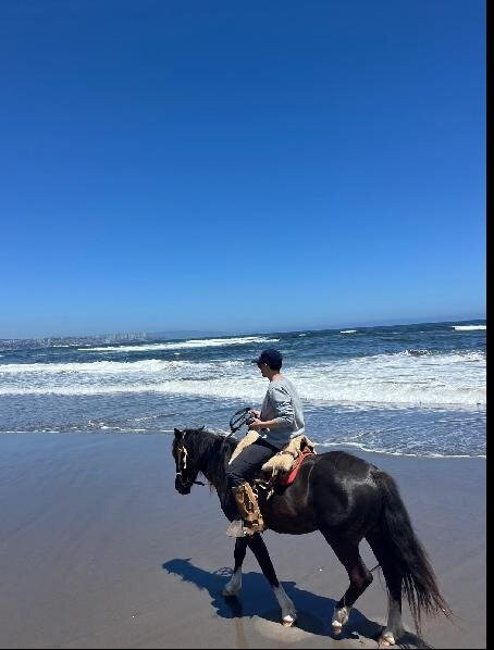 Ritoque Expeditions-Concon必去景点