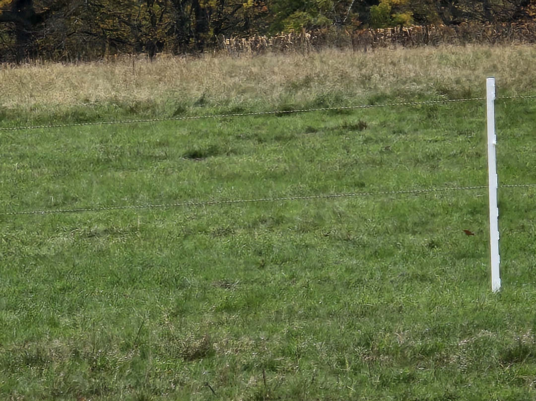 Weald Country Park-布伦特伍德必去景点