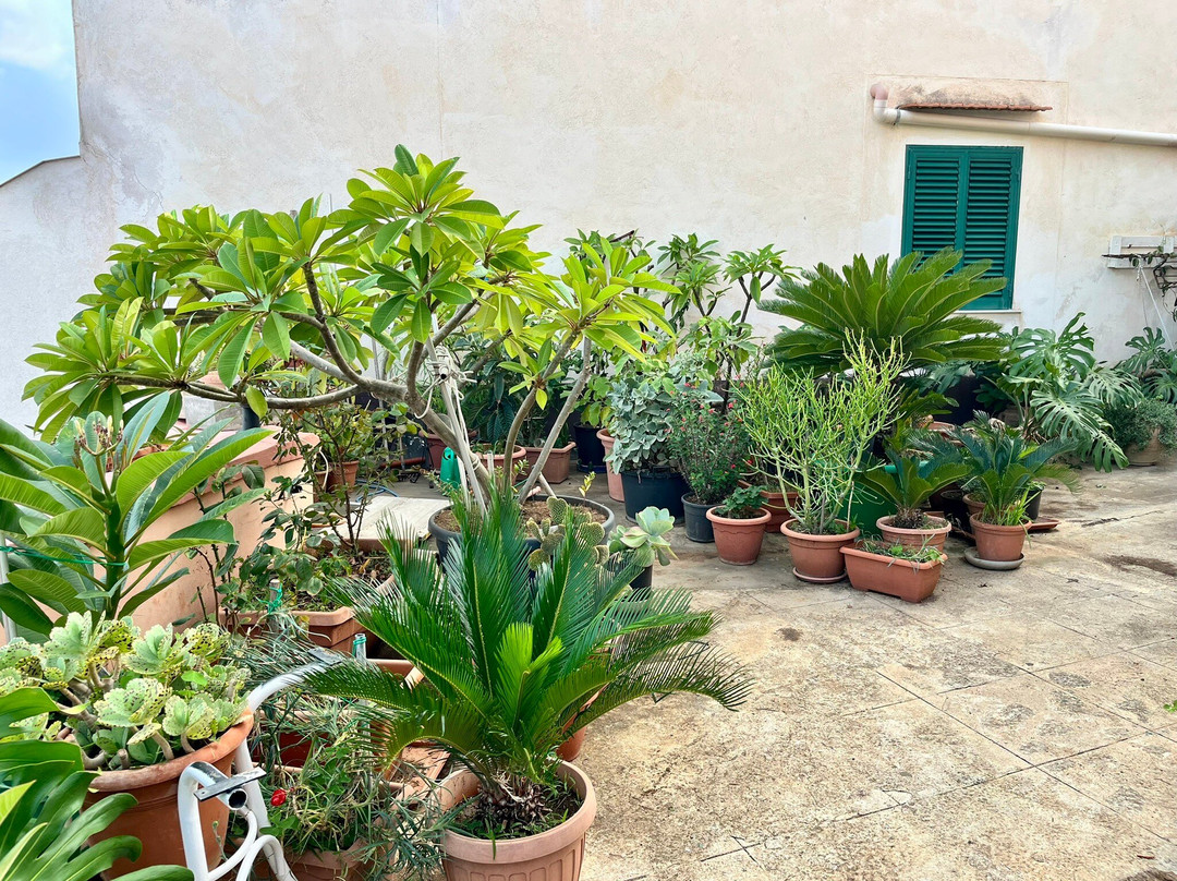 乌斯蒂卡-Ustica必去景点