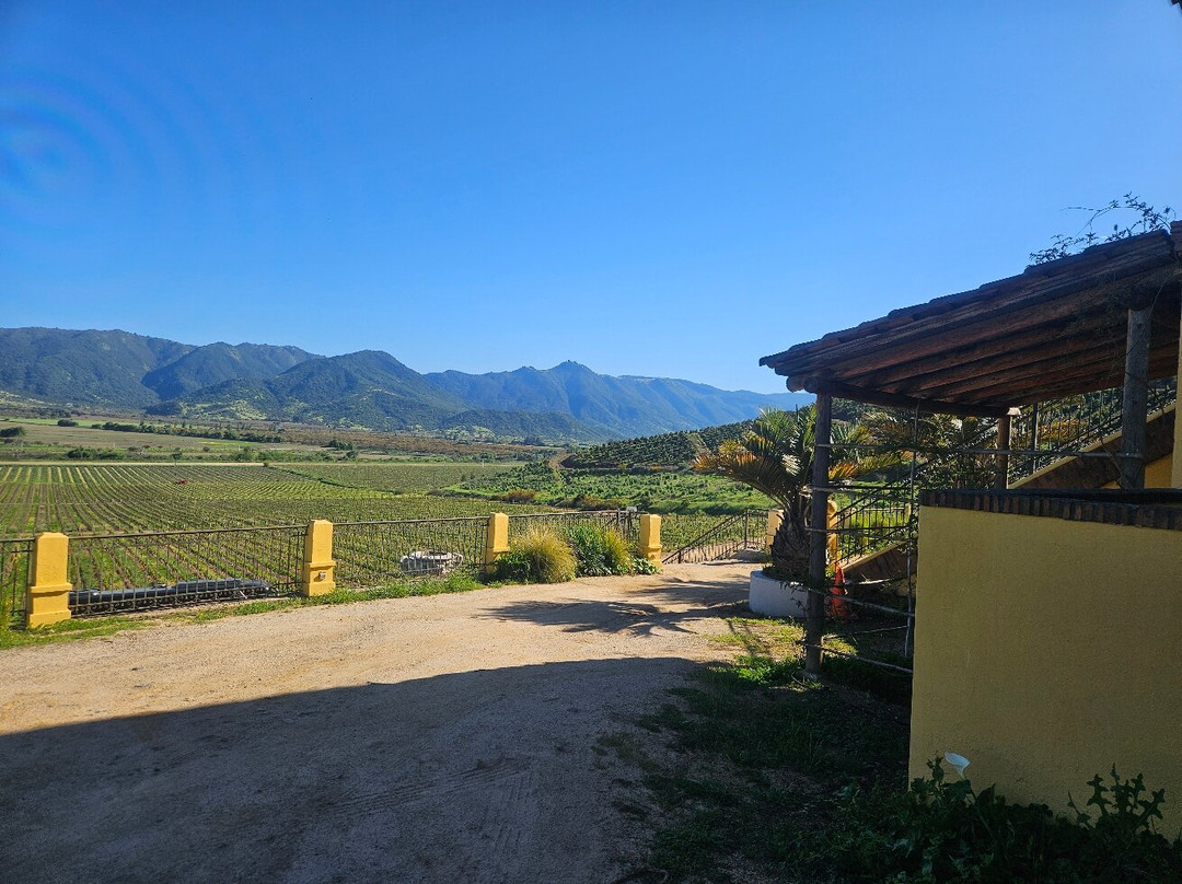 Viña Santa Cruz-Lolol必去景点