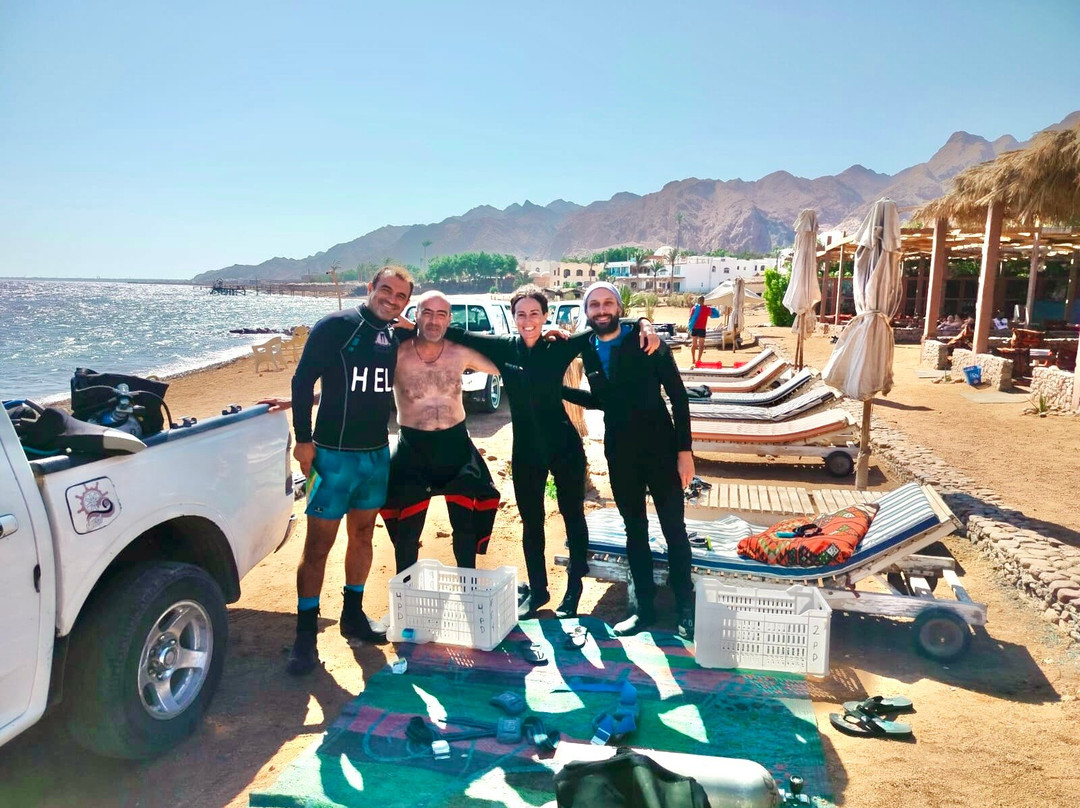 Penguin Divers Club-达哈卜必去景点