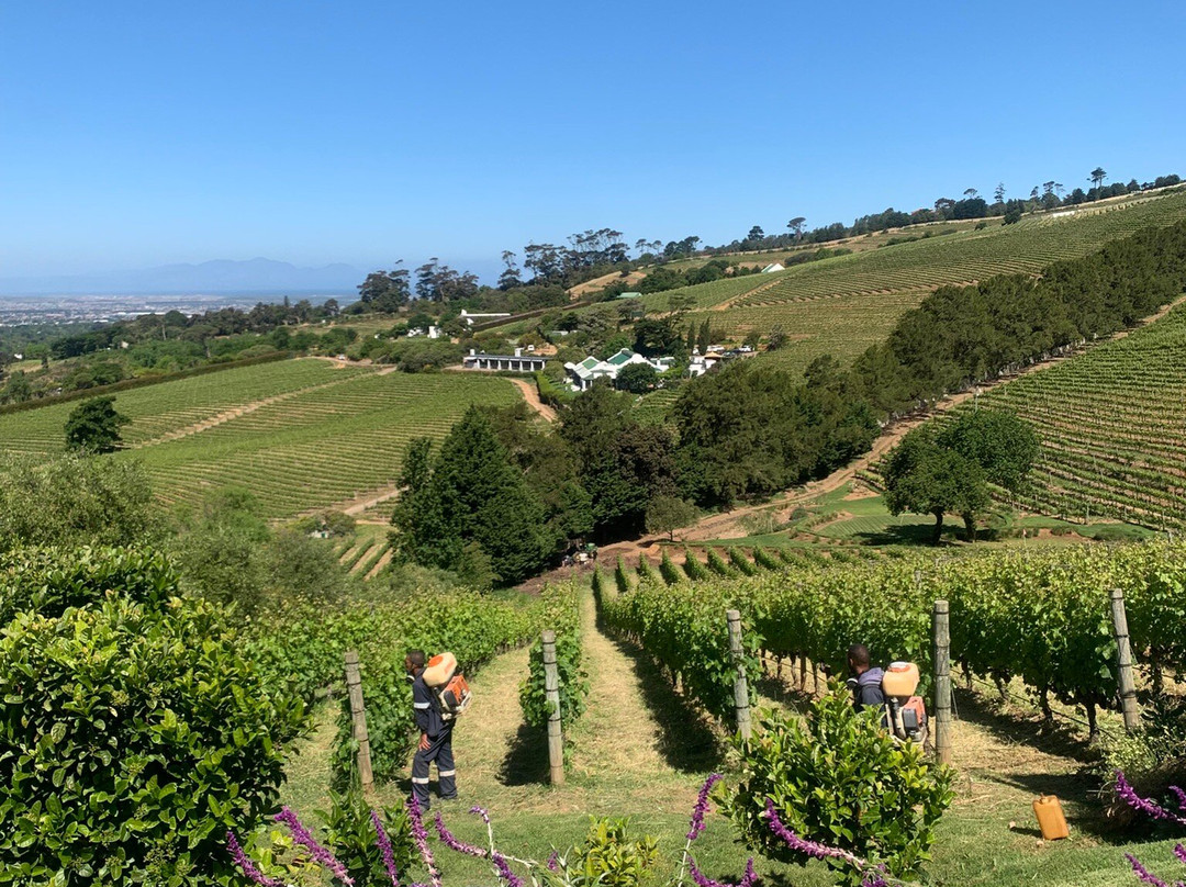 Beau Constantia-康士坦提亚必去景点