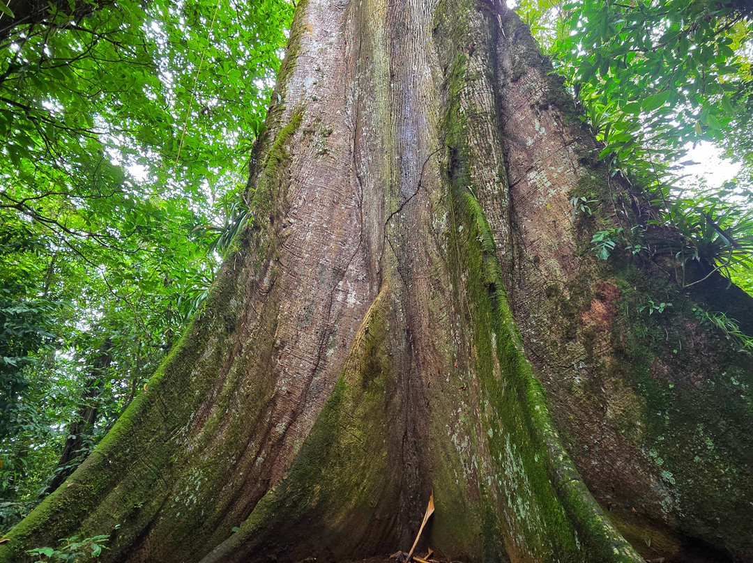 Matt's Fishing & Tours-萨迪纳尔必去景点