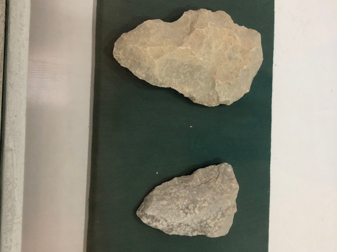 State Museum of Culture History of Uzbekistan-撒马尔罕必去景点