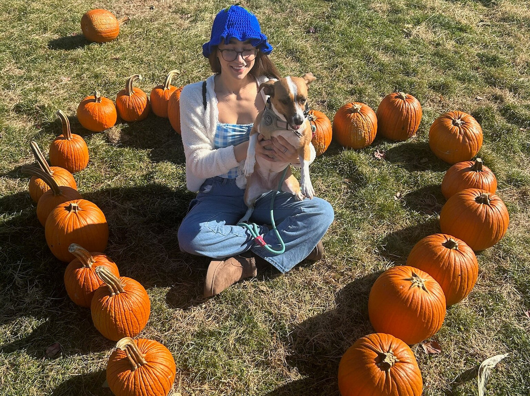 Secor Farms-莫沃必去景点