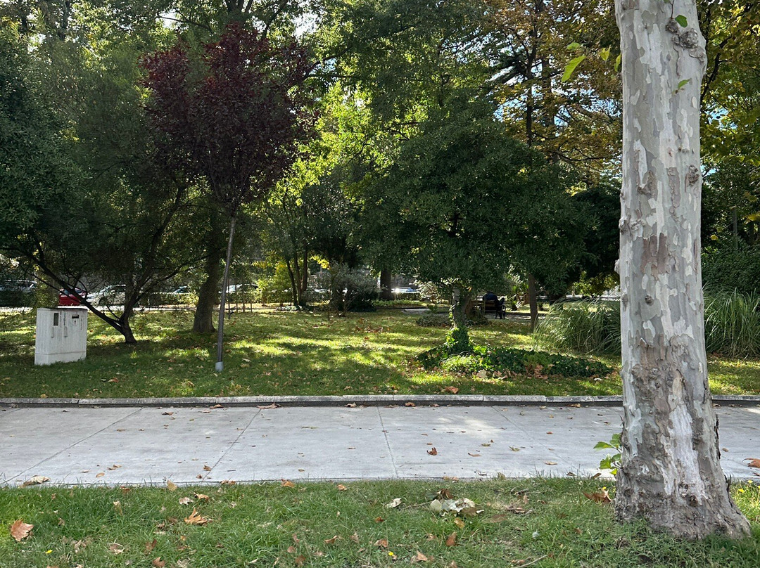 Perivoj kraljice Jelene Madijevke-扎达尔必去景点