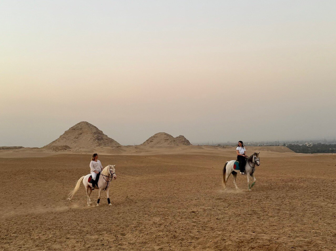 Kfb Stables, Abu Sir Pyramids-Abu Sir必去景点