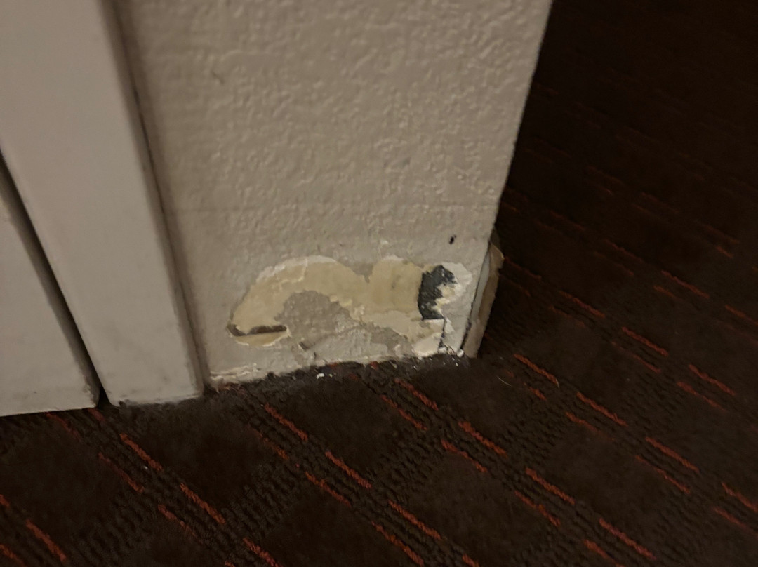 弗拉格斯塔夫大使套房酒店主图