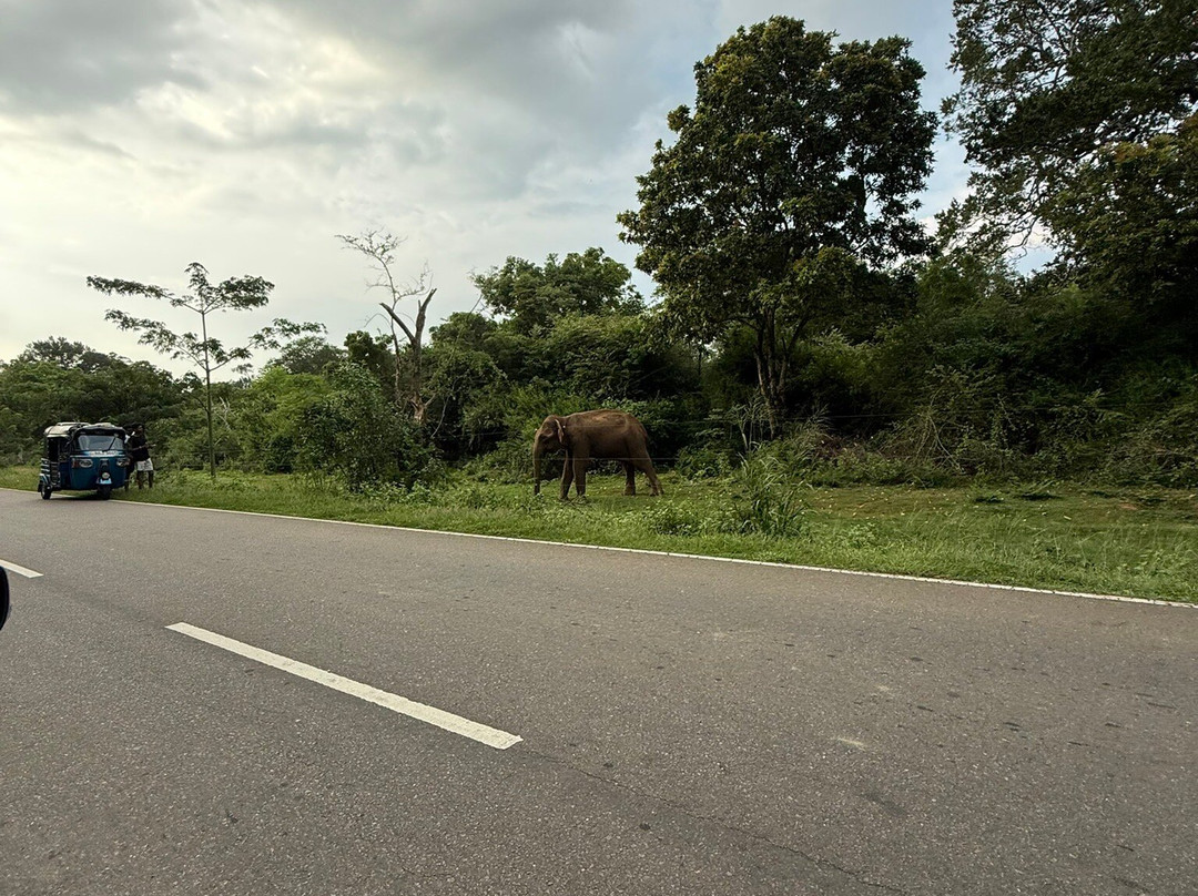 Ceylon Master Tours-Waskaduwa必去景点