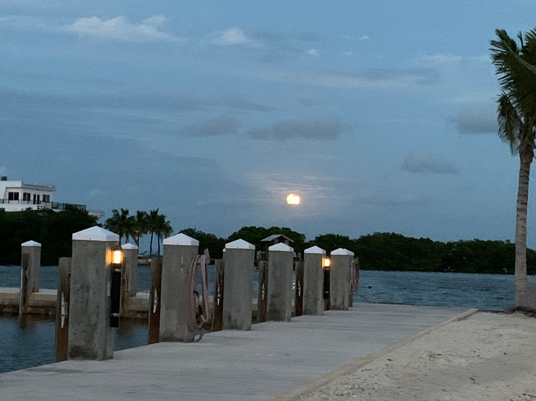 Ragged Edge Resort & Marina主图