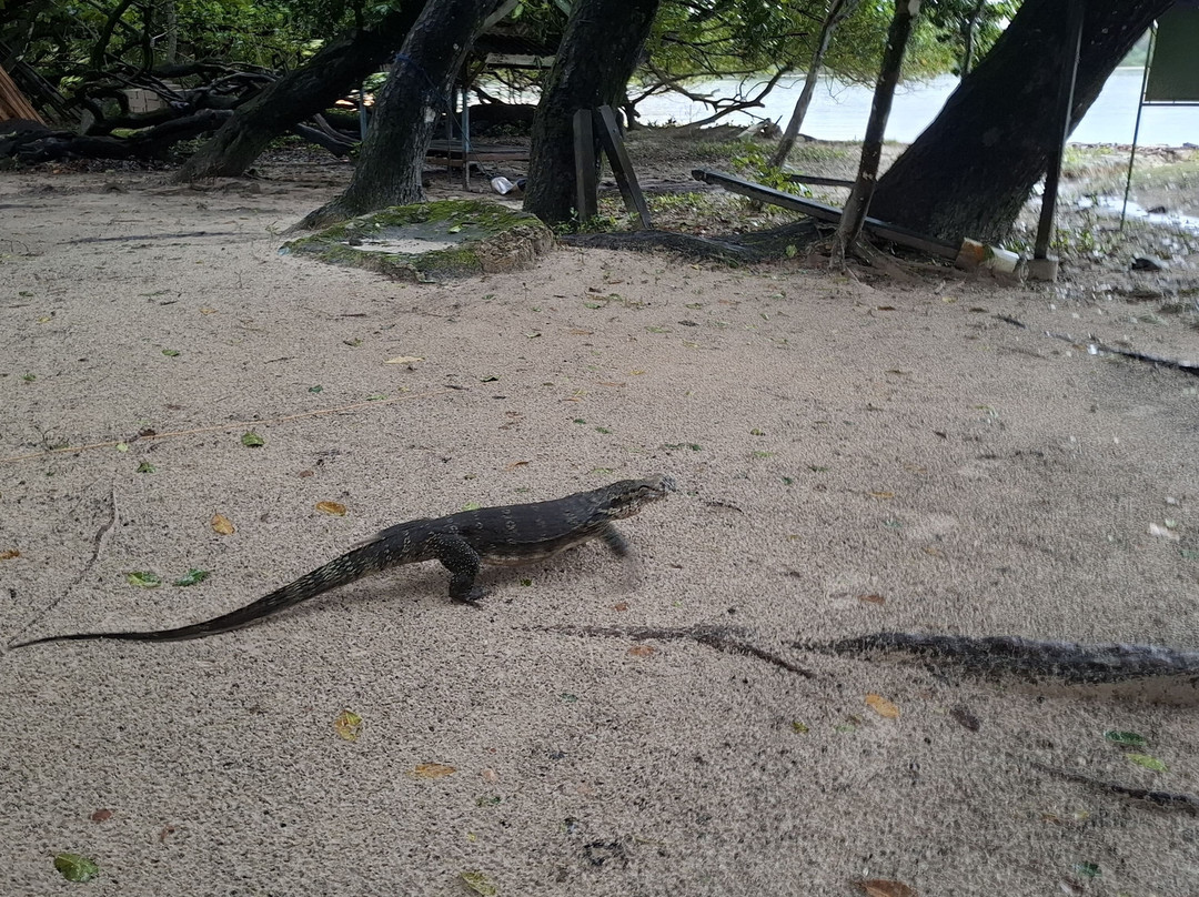 Ujung Kulon Ecotourism-Ujungjaya必去景点