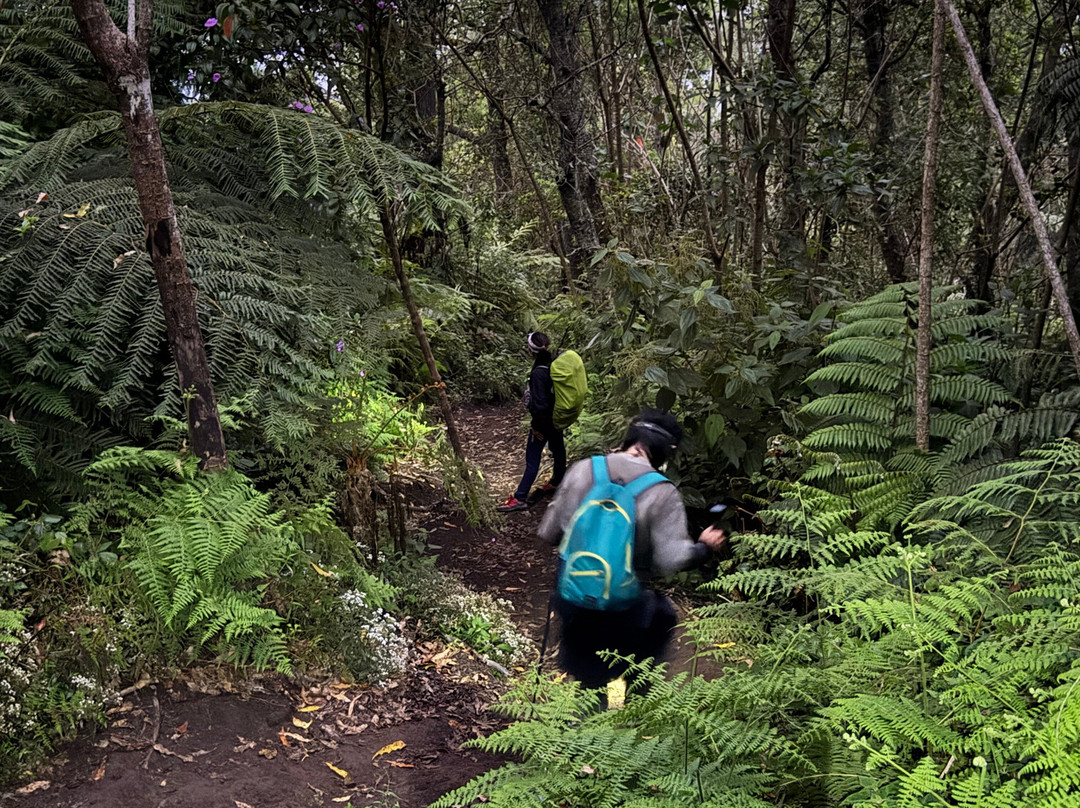 Wayan Darta Mount Agung Trekking-曼吉斯必去景点