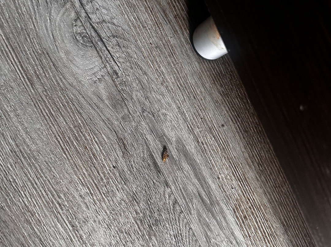 WoodSpring Suites Charlotte Gastonia主图